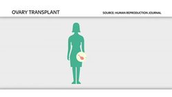 Woman Makes Medical History With Ovarian Tissue Transplant News Clip