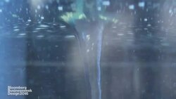 Design in Nature: Biomimicry News Clip