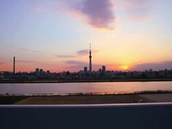 Tokyo cityscape with the Tokyo Skytree. Stock Footage