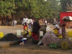 WS Shot of daily life in village with access to water / Conakry, Guinea Stock Footage