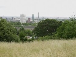 Male and female jogging trough park, skyline in background Stock Footage