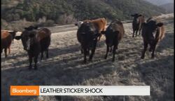 Leather Cant Hide From Beefs Luxury Sticker Shock News Clip