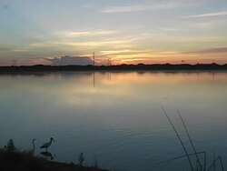 Sunrise Over The Wetlands Stock Footage