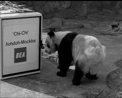 TO RUSSIA WITH LOVE! News Clip