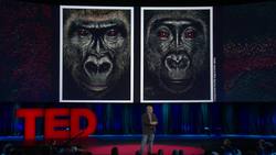 Steven Wise: Chimps have feelings and thoughts. They should also have rights Instructional Video