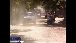 Princess Diana's Royal visit to Zimbabwe 1993 News Clip