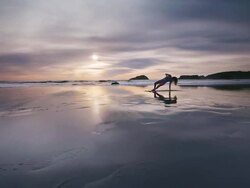 WS POV Woman doing yoga on beach / Bandon, OR, United States  Stock Footage