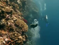 DIVERS AND BUBBLES Stock Footage