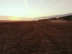 Wide shot of a mostly harvest cornfield, a combine can be seen in the distance at sunset. Stock Footage