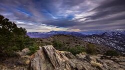 Ancient Bristlecone Pine Forest Panorama - Motion T/L Stock Footage