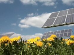 Solar Park in Spring Stock Footage