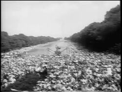 B/W August 28, 1963 wide shot PAN huge crowd clapping in Mall at March on Washington / newsreel Stock Footage