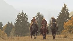 DS Three ranchers talking and riding their horses Stock Footage