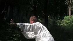 old man practice tai chi in the park Stock Footage