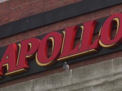 ATMOSPHERE: The Art of Rap European Premiere at Hammersmith Apollo on July 19, 2012 in London, England (Footage by WireImage Video/Getty Images) Stock Footage