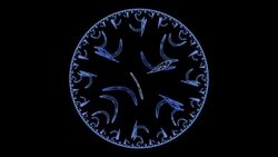 bacteria background render Stock Footage