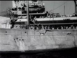 ILLEGAL IMMIGRANTS FOR CYPRUS News Clip