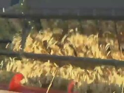 MS POV Combine grain head reel turning to flow winter wheat into cutting blade and auger during summer harvest / Dansville, Michigan, United States Stock Footage