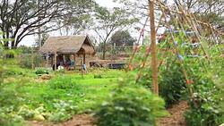 Farmer and beautiful life Stock Footage
