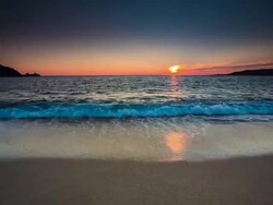 Beach Sunset Stock Footage