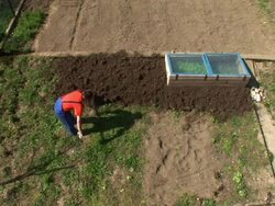 HD: Ploughing The Soil Stock Footage