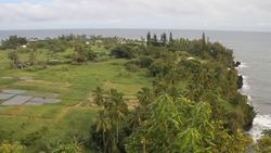 Biological Succession Instructional Video