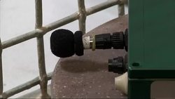 Tiger Sounds Could Help Save Population News Clip