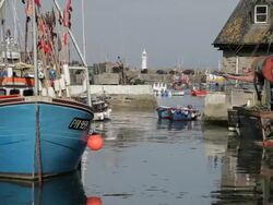 WS Seagulls Flying Around Fishing Boats in Harbour / Cornwall, England, UK Stock Footage