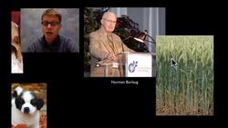 Selection Instructional Video