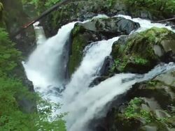  MS Waterfall cascading over rocks in rainforest  /  Washington, United States Stock Footage