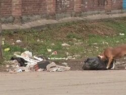 CLEAN: Fear of crime fuels growth of Argentina's gated communities News Clip