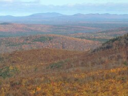 WS AERIAL View of wooded area with autumn color at Howland / Maine, United States Stock Footage
