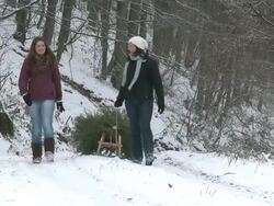MS Two women walking through forest with christmas tree on sled / Saarburg, Rhineland-Palatinate, Germany Stock Footage