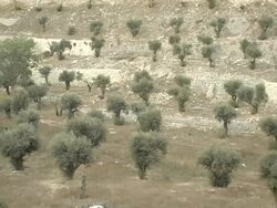 Wall of Jerusalem and Golden Gate Stock Footage