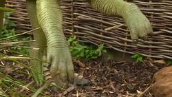 ZSL London Zoo opens Zoorassic Park, a temporary exhibition of animatronic dinosaurs News Clip