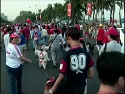 Mass dog walk to protest against cruelty to dogs News Clip