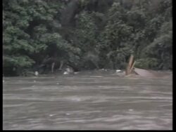 DOMINICAN REPUBLIC: TROPICAL STORM MARCO POUNDS COUNTRY News Clip