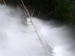 HD Flood Waves Destroying Trees Slow Motion Stock Footage