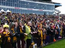 Hawthorn Hawks Training Session Stock Footage