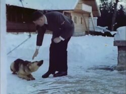 Adolf Hitler with his German Shepherd dog, Blondi Stock Footage