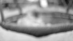 Swinging swing on playground, black and white Stock Footage