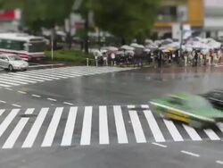 TL, MS, Tilt-Shift Crowds with umbrellas cross Hachiko crossing, Shibuya, in the rain / Tokyo, Japan Stock Footage