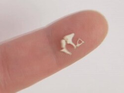 Zoom into ear bones. Stock Footage