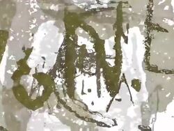 INSCRIPTIONS : LETTERS, NUMERALS, SIGNS - HD loop Stock Footage