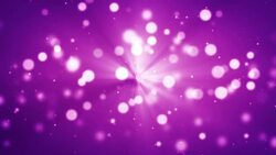 Light rays with glitter particles bokeh pink background Stock Footage