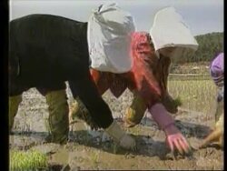 NORTH KOREA: CONCERN OVER FAMINE REPORT UPDATE News Clip