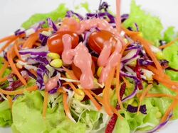 Vegetable salad Stock Footage