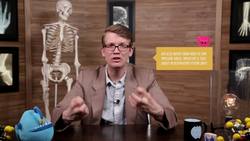 The Heart, part 1 - Under Pressure: Crash Course A&P Instructional Video