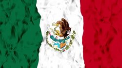 Mexican Flag Stock Footage