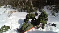 CLEAN Taking up arms for a 'free Quebec' News Clip